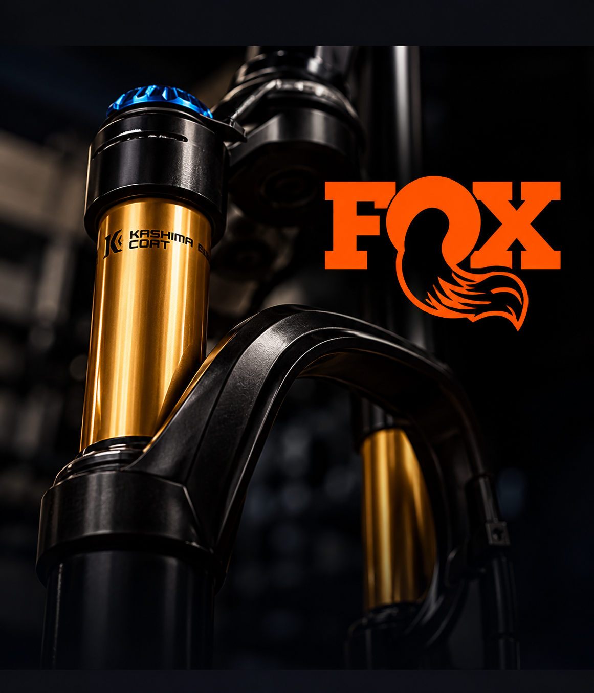Manutenção e revisão de suspensão FOX em Cândido Mota
